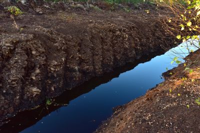 Prevent Erosion